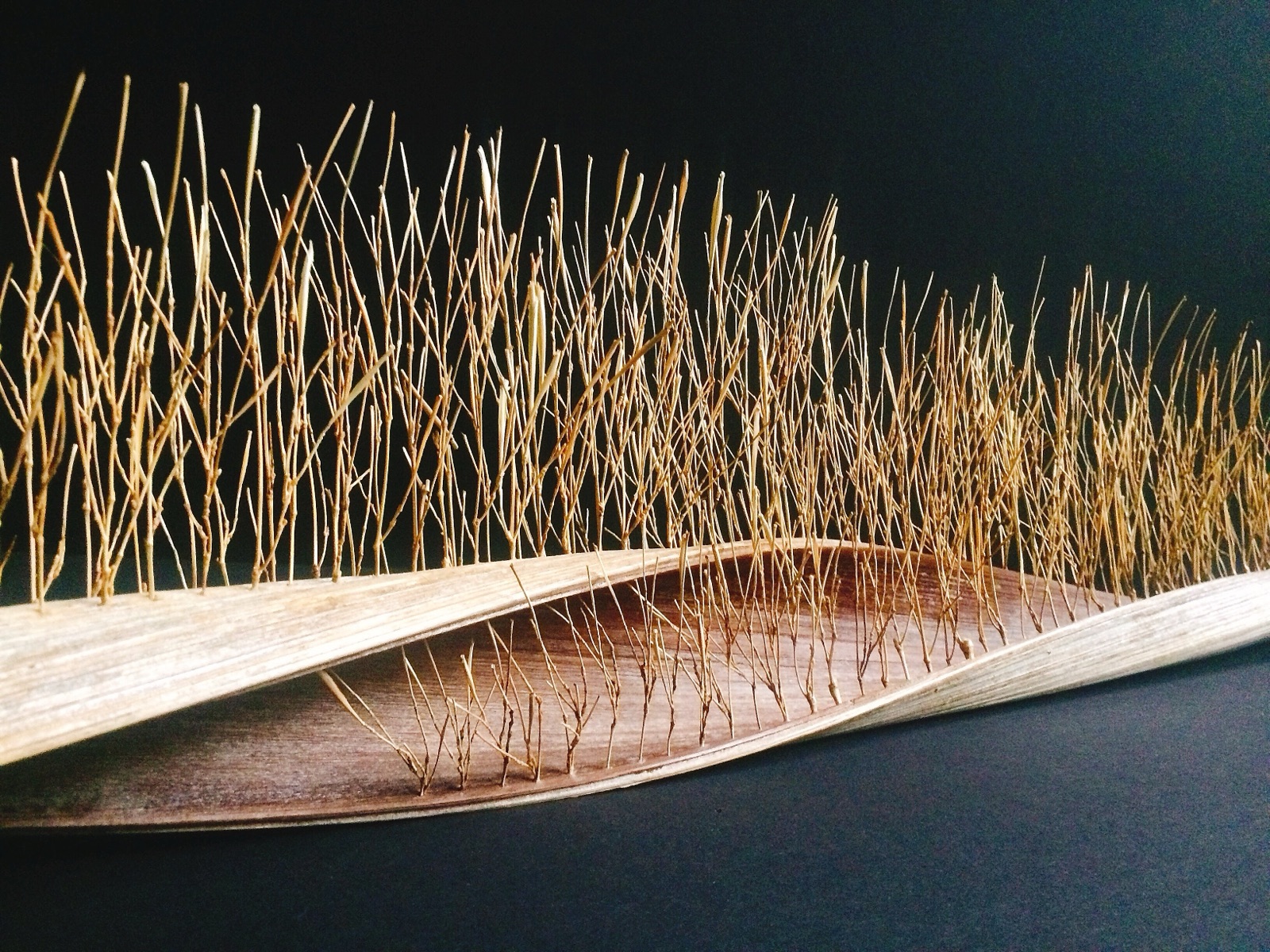 Bamboo branch sculpture and artwork by Nagi Studio
