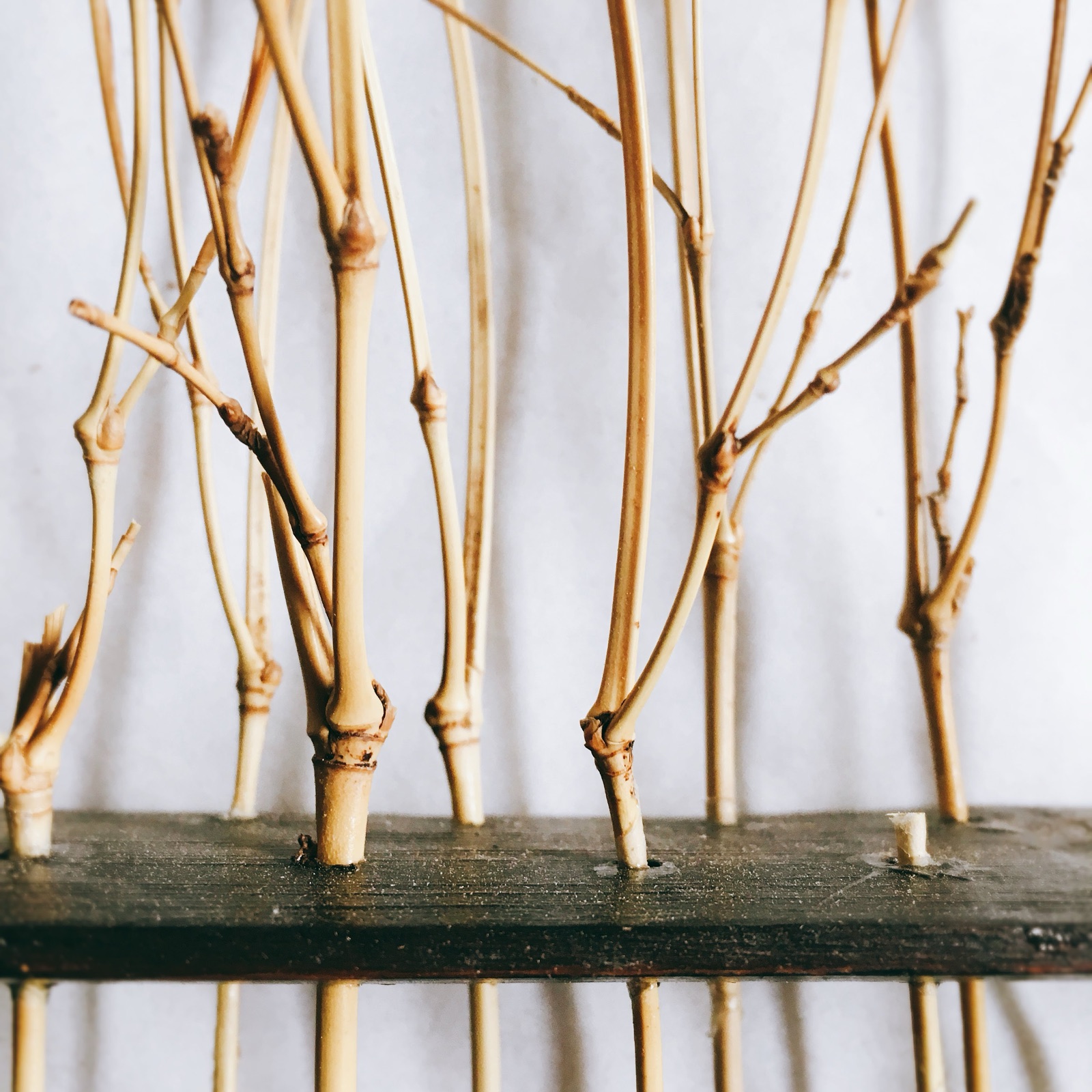 Bamboo branch sculpture and artwork by Nagi Studio