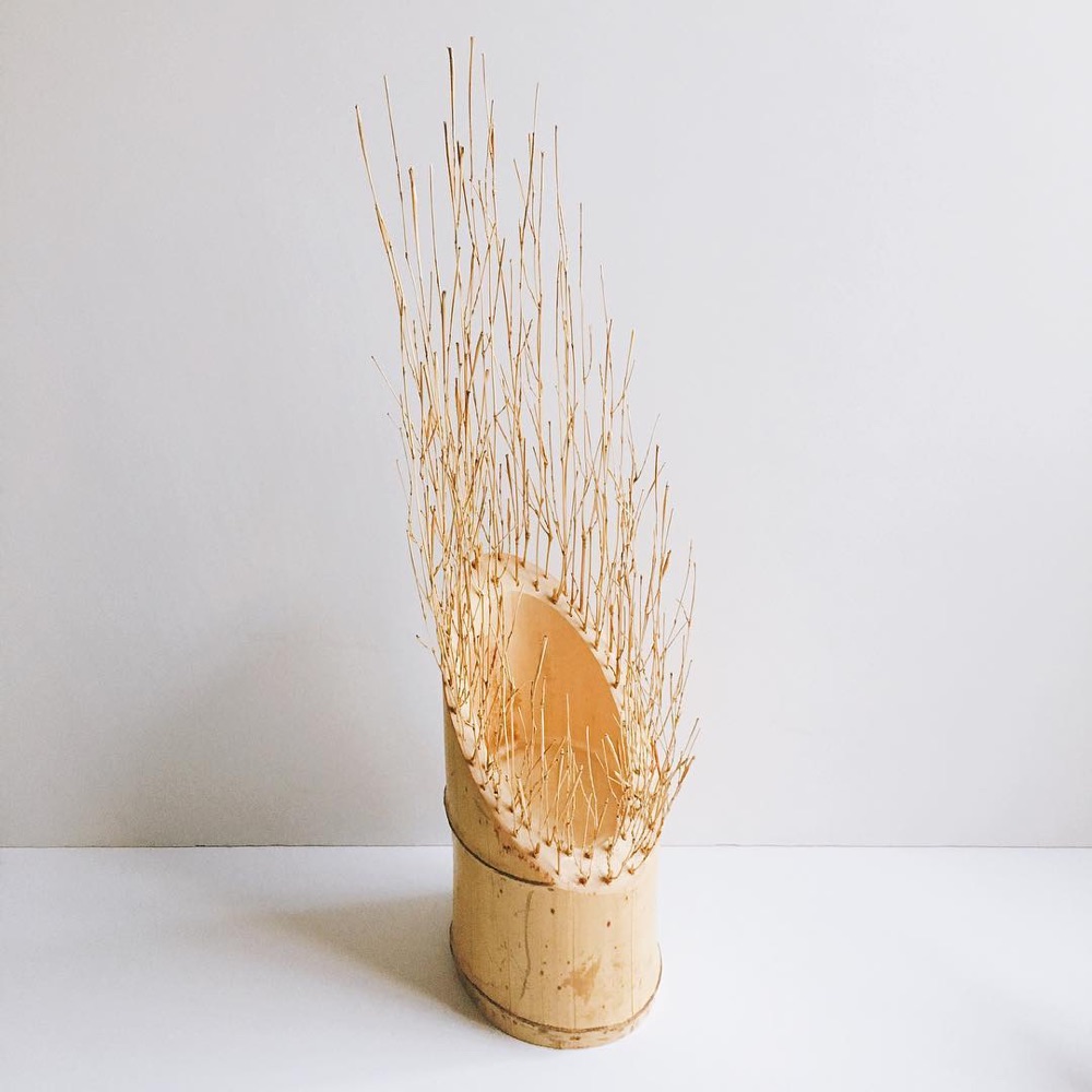 Bamboo branches on a bamboo base, side view, by Nagi Studio
