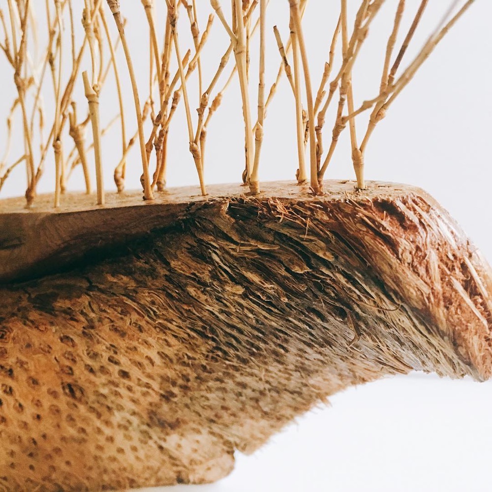 Palm leaf and bamboo branches, close-up, by Nagi Studio