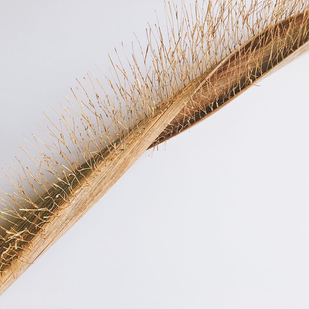 Palm leaf with bamboo branches by Nagi Studio
